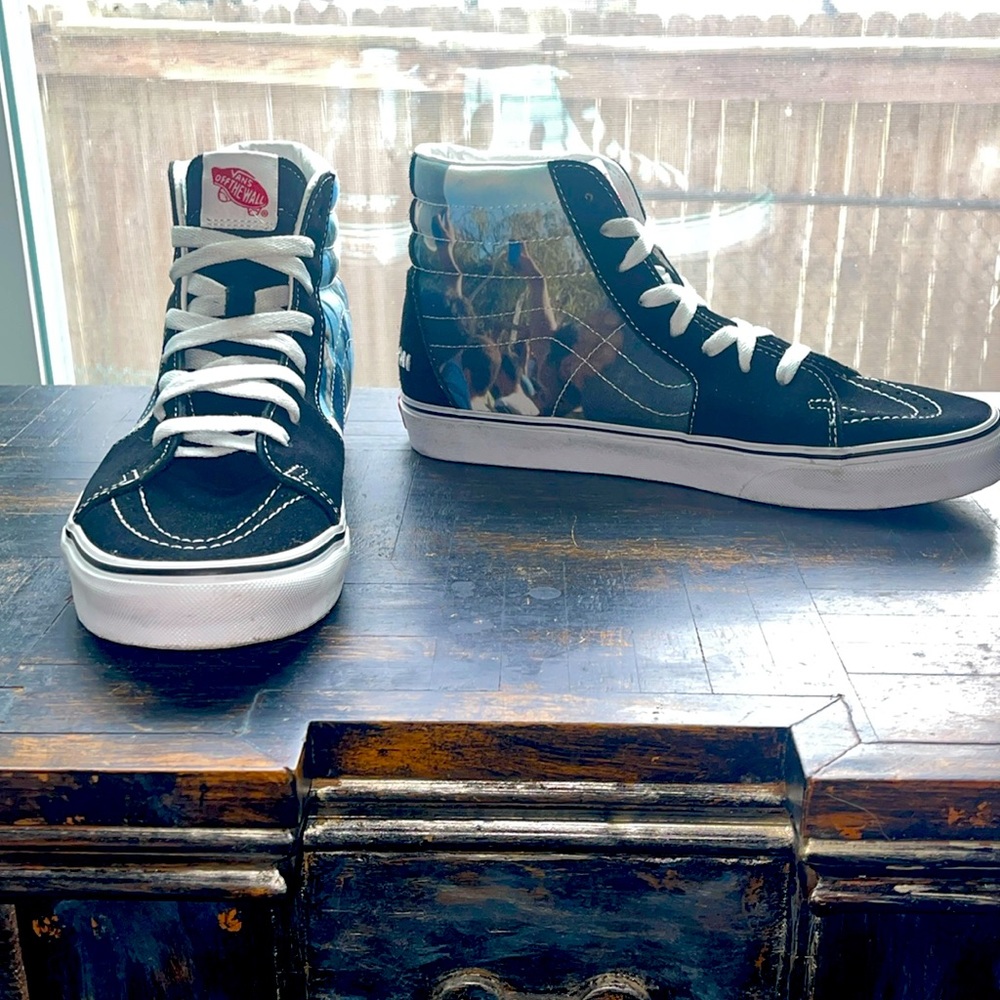 Vans “Poets on the Pyre” high top skate shoes